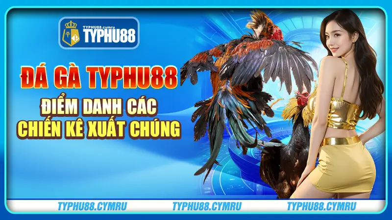 Đá gà typhu88